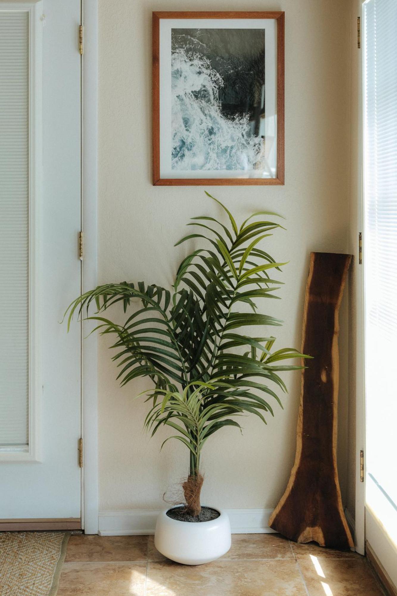 The Ohia At The Koi House Apartment ไคลัวโคนา ภายนอก รูปภาพ